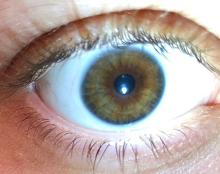 Help identifying eye color. - My, Question, Eyes, Brown Eyes