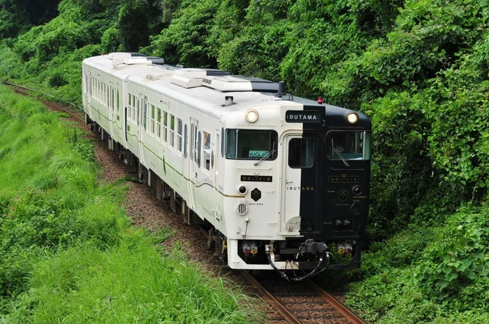 Black and white Japanese train - Railway, Japan, A train, Diesel Train, Design, Video, Longpost