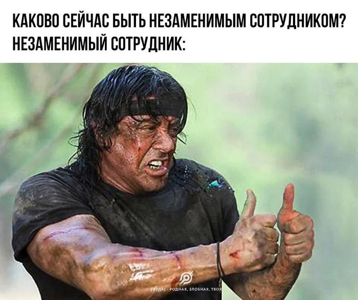 What is it like to be an indispensable employee now? - Memes, Picture with text, Sylvester Stallone, Rambo