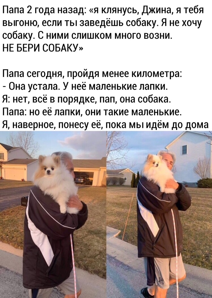 1585170687166225053.jpg