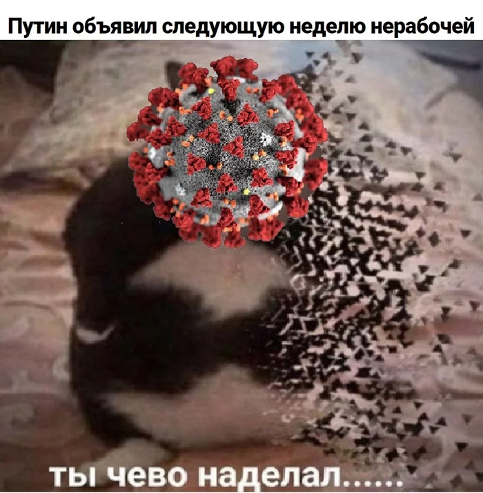 Sorry coronavirus - Coronavirus, Humor, Memes, Russia, Quarantine