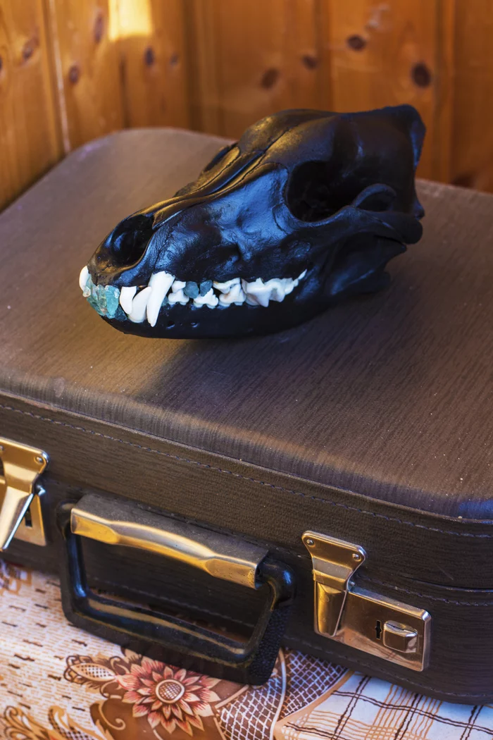 Scull - My, Scull, Sale, Decor, House, Interior Design, Longpost