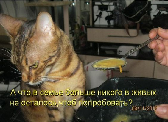  ! , ,  