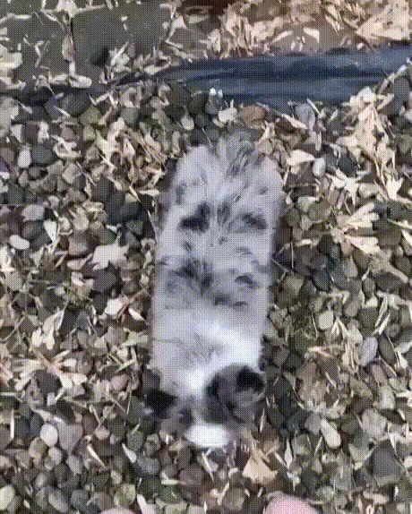 Обнимашки