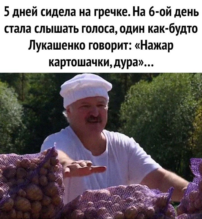 One day - Coronavirus, Buckwheat, Picture with text, Alexander Lukashenko, Potato, Republic of Belarus