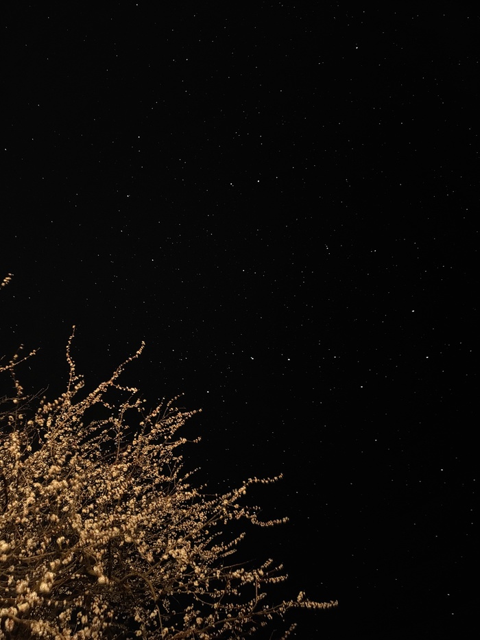 Фото с запахом