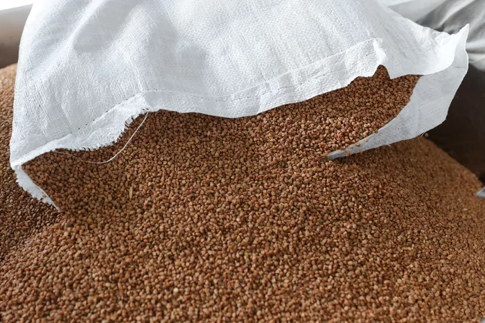 Cartels among buckwheat producers revealed in Russia - My, Buckwheat, Coronavirus, FAS, Antitrust, Business, Company, news