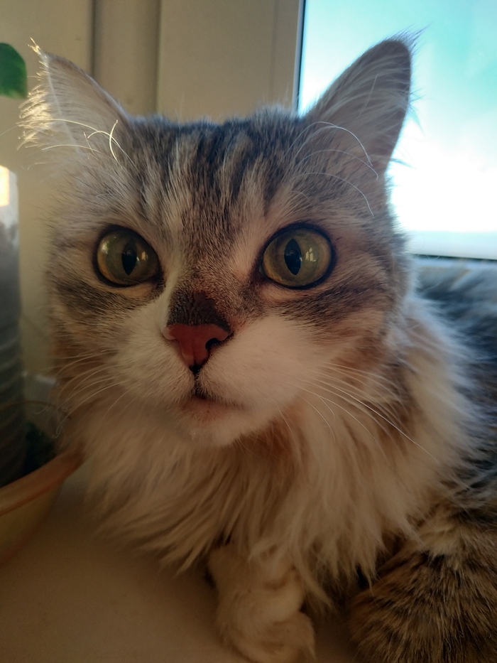 А ты чё дома то?