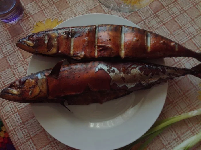 Каникулы перед каникулами - Моё, Дача, Каникулы, Коптильня, Рыба