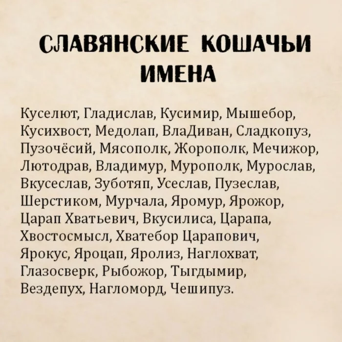 Выбираем имя для питомца - Имена, Кот, Славяне, Картинки, Картинка с текстом