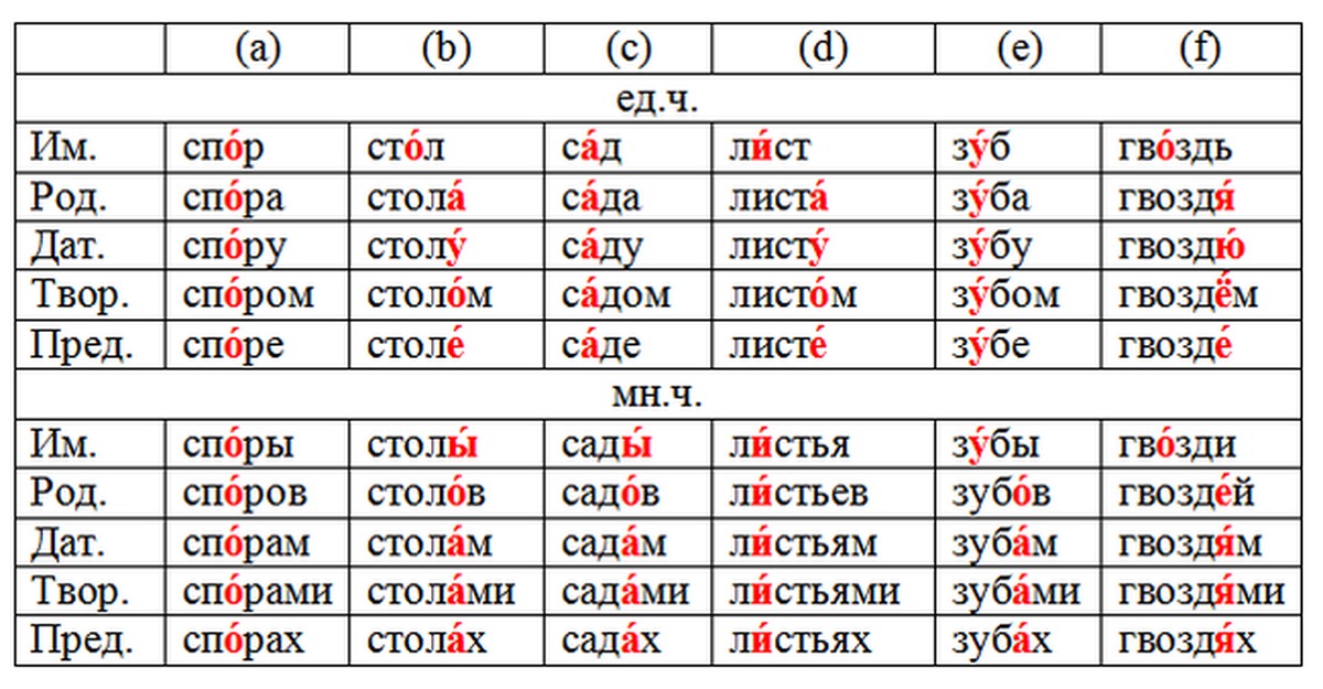 Торт падежи. Торт склонение и ударение. Просклонять слово торт. Просклонять слово торт с ударением. Склонение слова торт.