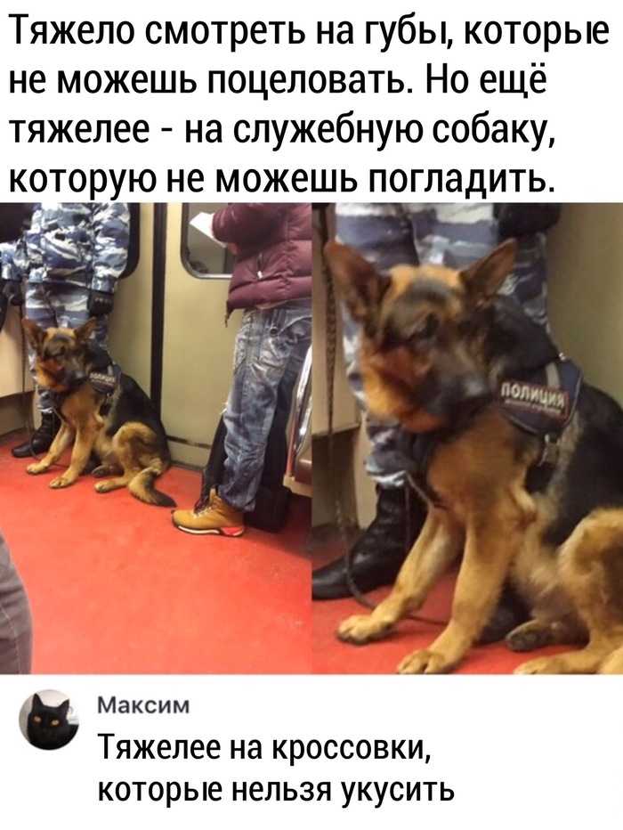 Хороший мальчик | Пикабу
