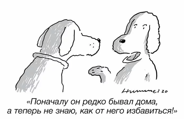 Недоумение друзей наших меньших - Собака, Карикатура, Хозяин, Карантин, Самоизоляция, Картинка с текстом