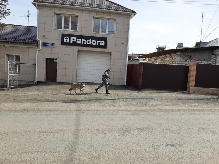 �������� � ����������