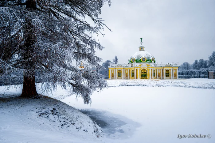 Winter in Kuskovo - My, , Moscow, Winter, The photo, Longpost