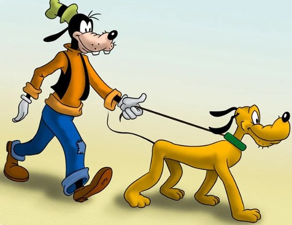 About Guf and his dog - My, Guf, Dog, Coronavirus, Self-isolation, Walt disney company, Laughter (reaction), Mat, Pluto