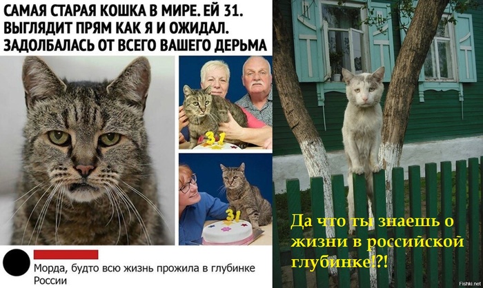 �� ��������...