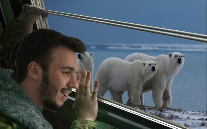Есть в России место, где бродят белые медведи, и нет коронавируса