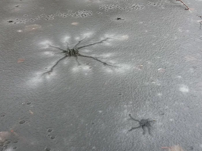 Thawed patches in the form of neurons on the lake - My, Ice, Wrong ice, Nature, Natural phenomena, Longpost