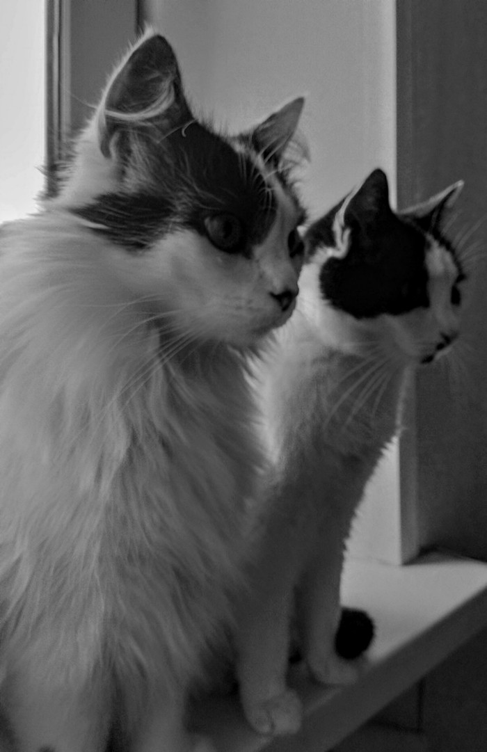 На страже спокойствия