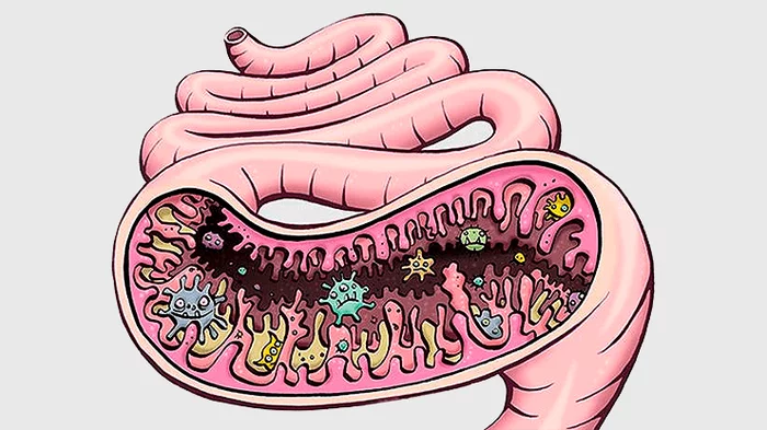 Microbes for health - Science and life, Intestinal microflora, Benefits and harms, The medicine, Longpost