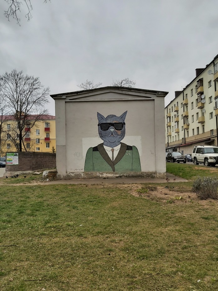 Секретный кот