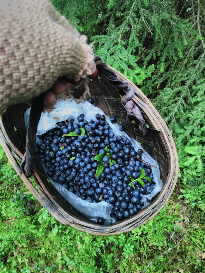 Ща бы чернички, а не вот это все)