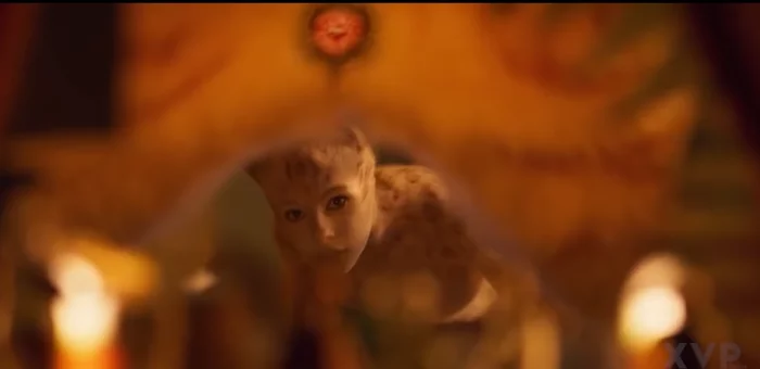 The real trailer for Cats has appeared. The heroes were returned to the previously removed holes - NSFW, Trailer, cat, Nipples, Video, Anus, Musical Cats