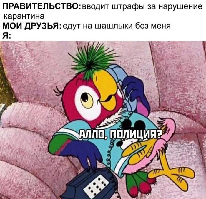 Законопослушный гражданин