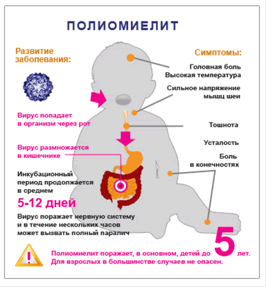 Полиомиелит Шредингера: если вакцинироваться, его как бы нет, а если нет, то он как бы есть! - Вакцина, Полиомиелит, Здоровье, Иммунизация, Длиннопост, Вирус