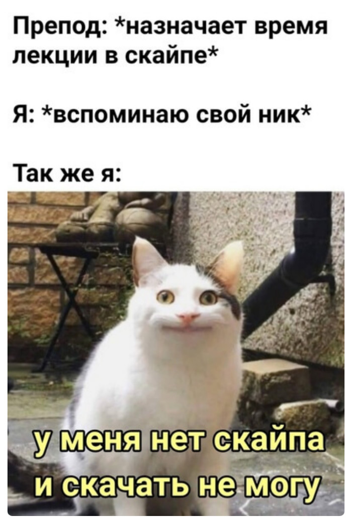   , Skype, , 