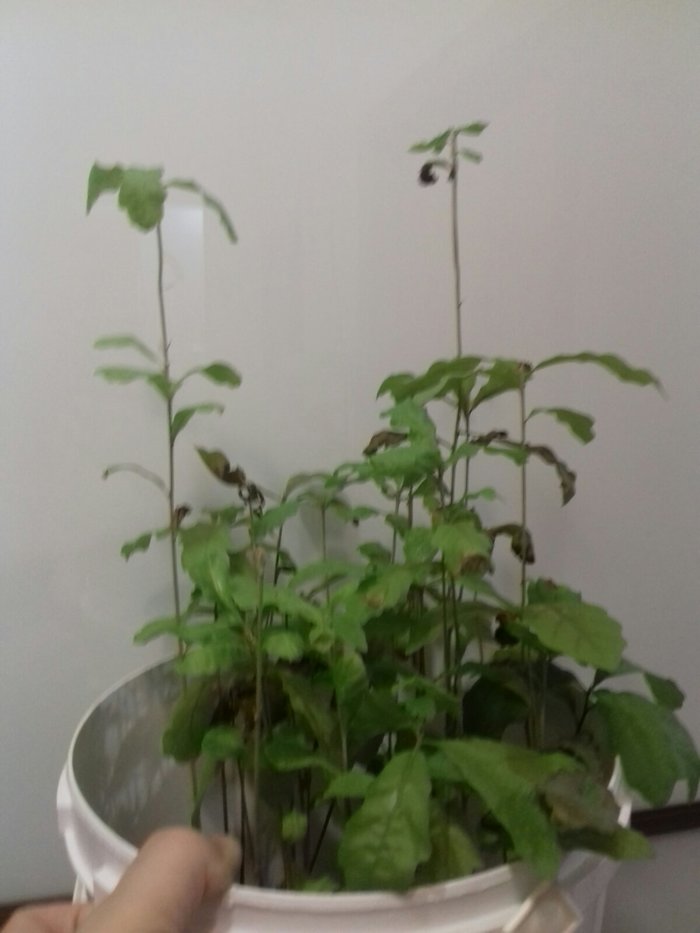 ��� ����