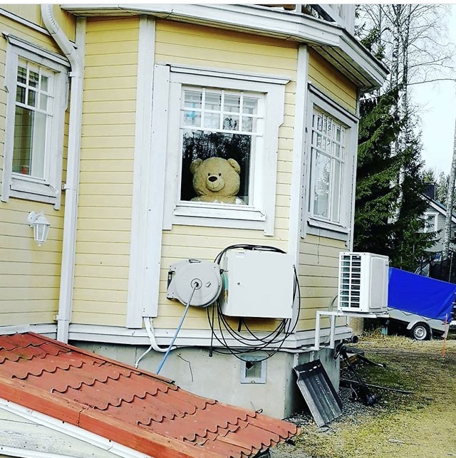 Может ли медведь залезть в дом через окно