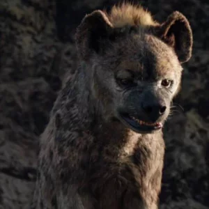 Shenzi from The Lion King 2019 - Hyena, Spotted Hyena, The lion king, Movies, Animals, Shenzi