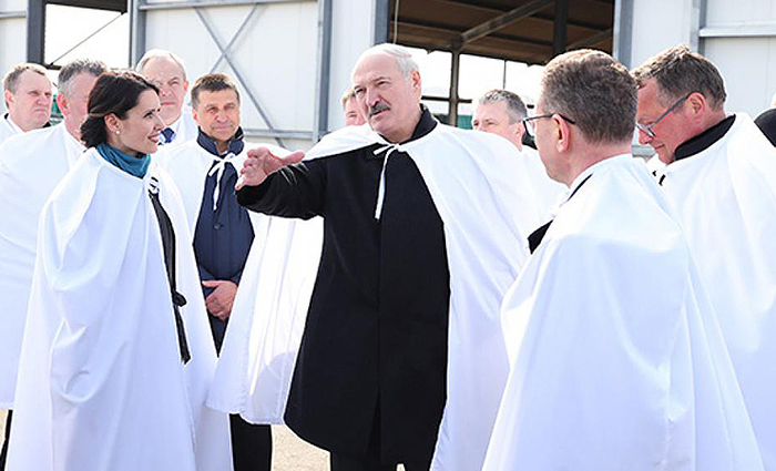 �������� - ������������ �����������