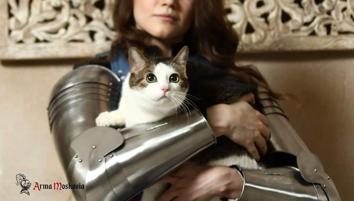 Bronenyash and cat - cat, Armor, Armor