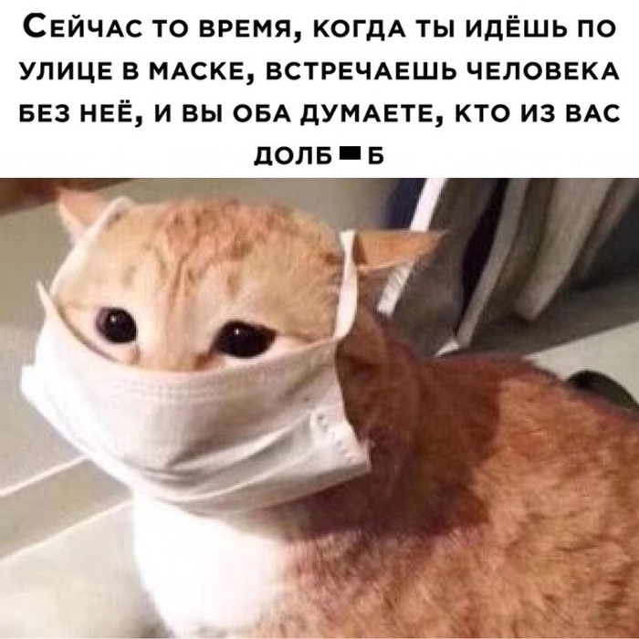 Докатились...