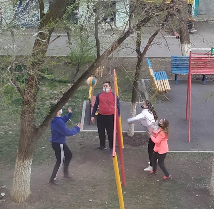 �����������