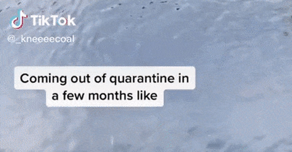 After a couple of months of quarantine... - Animals, Mammals, The size, GIF, Manatee, Tiktok, Quarantine