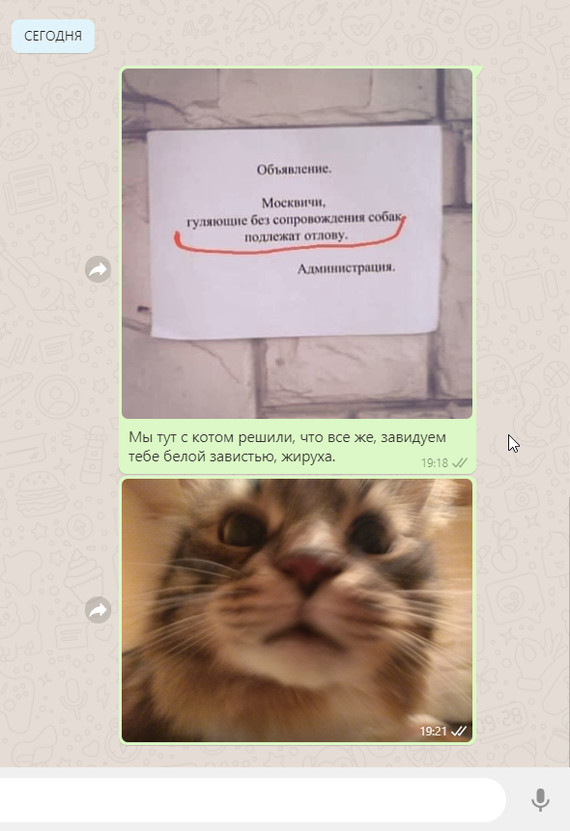 �� ����� ���