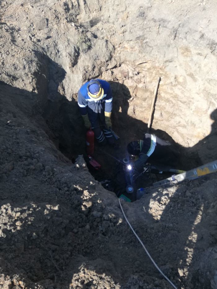 Изоляция у каждого своя | Пикабу