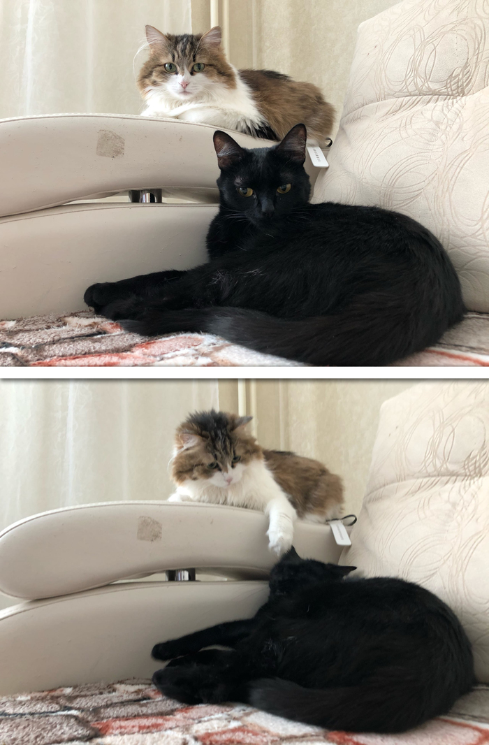 ����� �����, ��� � ���� ������