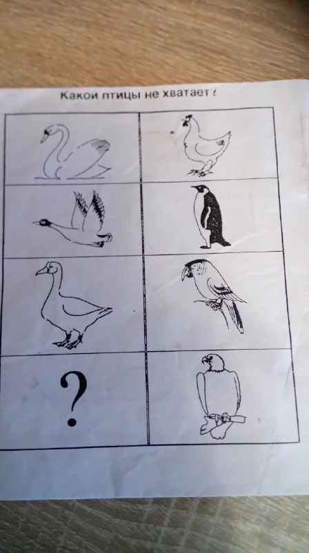 A mystery from childhood - Mystery, Birds, Головоломка