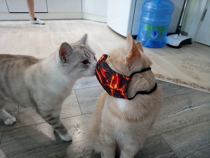 �� �� �����? ��� �������!!