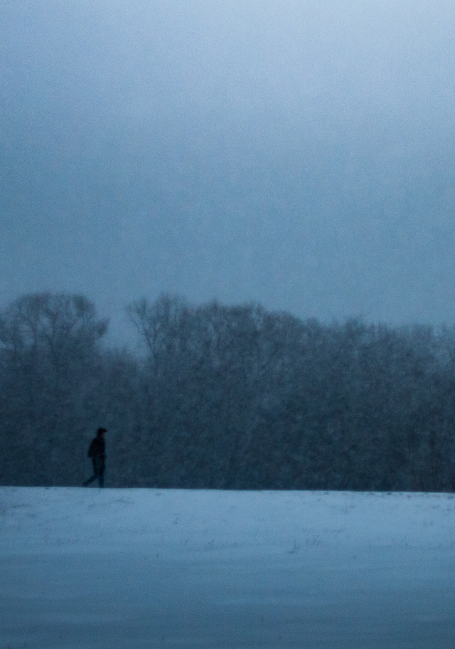 Last year's snow fell - My, The photo, Winter, Snow, March, Longpost