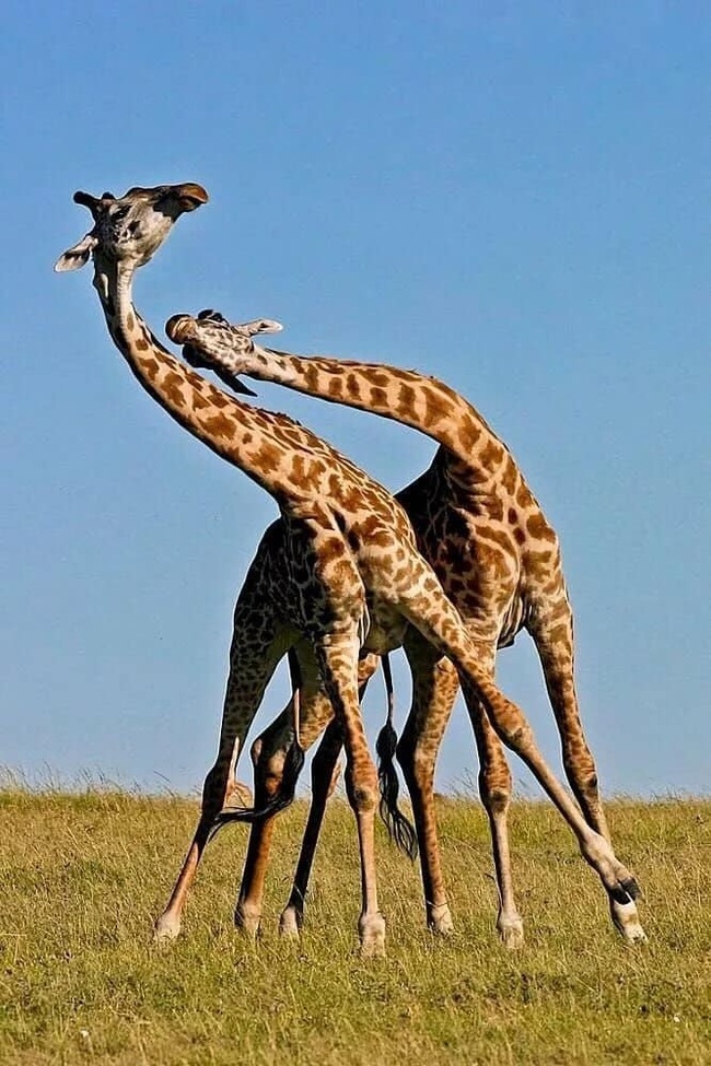 ���� - ���!