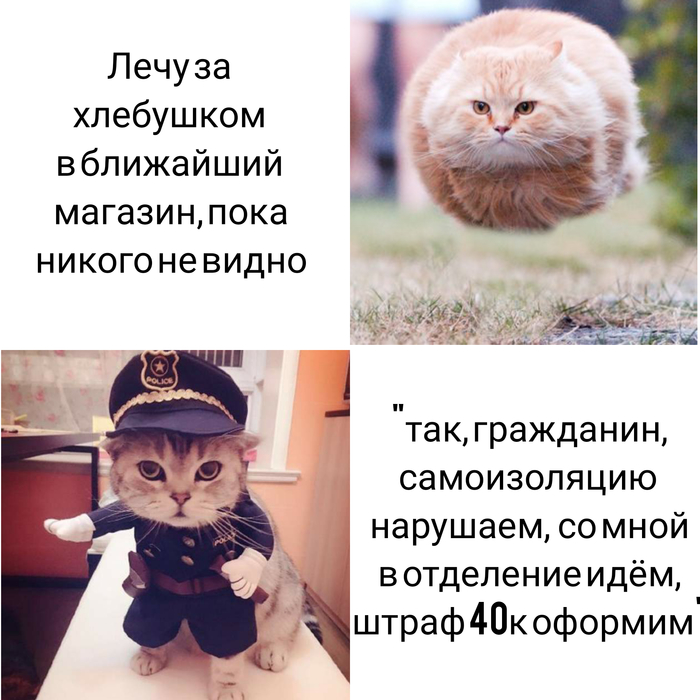 � ����� � ���������� ��������� � ������