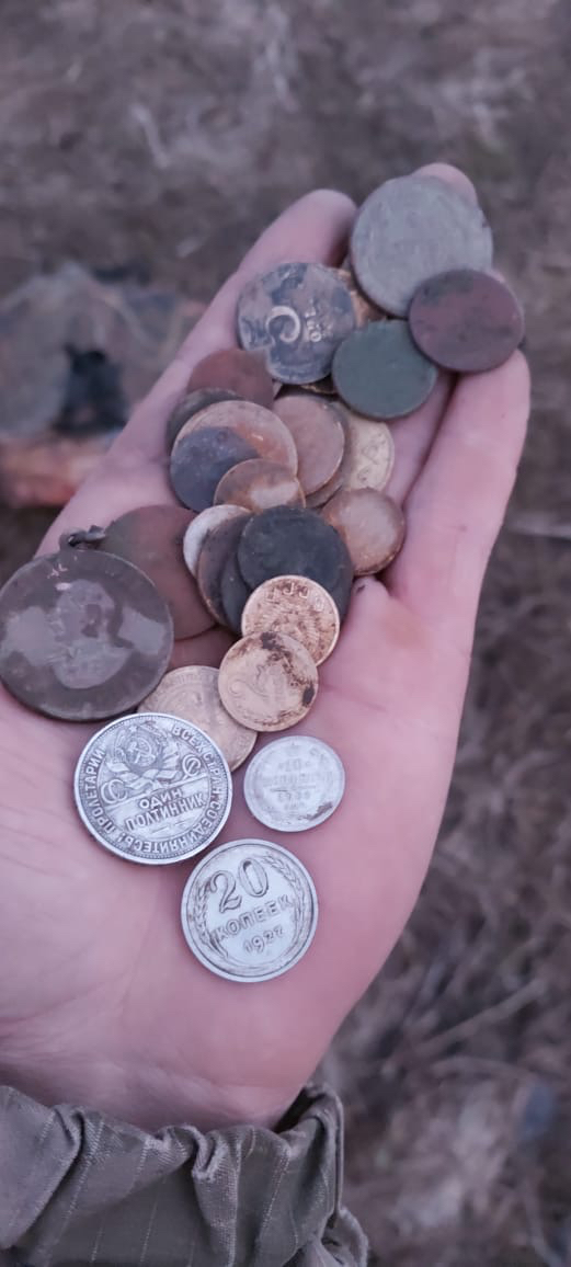 Disappeared settlement, unexpected finds! A pile of silver in the Abandoned Royal Village! - My, Abandoned, Abandoned villages, Treasure, Treasure hunt, Metal detector, Stalker, Video, Longpost