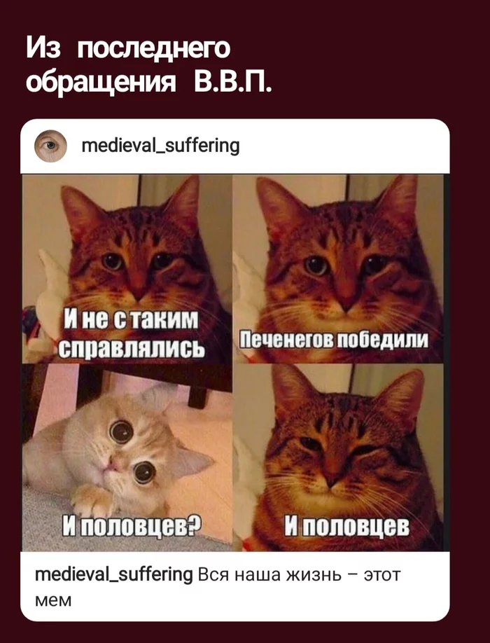 Обращение В.В.П - Владимир Путин, Обращение президента, Мемы, Толстые котики