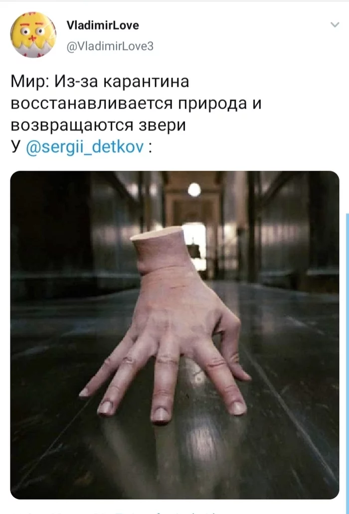 I'm starting to understand the meaning of Twitter - My, Coronavirus, Insulation, What Happened Next - Internet Show, Twitter, Screenshot, Sergey Detkov, Hand, Thing